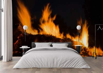 burning wood closeup in real; firereal fire flame render, bonfire campfire\ camp fire hot orange flame.  Wall mural